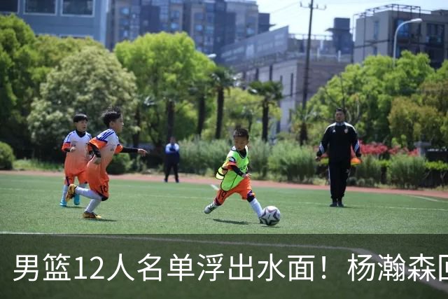 男篮12人名单浮出水面！杨瀚森回归，郭士强为何亲手送走胡明轩？只因这套阵容赌上了一切